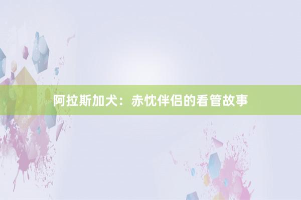 阿拉斯加犬：赤忱伴侣的看管故事